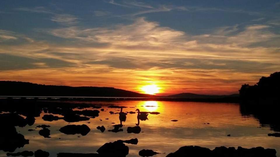Apartman Dawidh Šibenik Exteriör bild